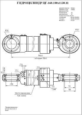 Гидроцилиндр ЦГ-160.100х1130.11