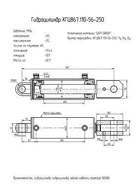 Гидроцилиндр КГЦ 867.110-56-250
